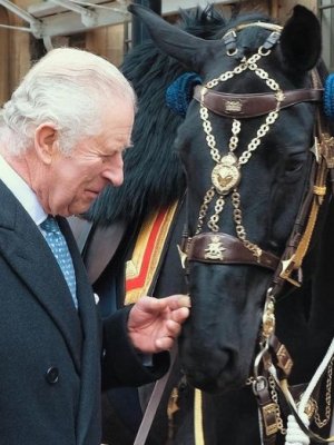 Conoce a los caballitos que escoltarán a Carlos III en su coronación