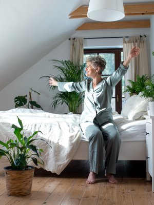 ¿Plantas en el dormitorio? Conoce las que ayudan a conciliar el sueño