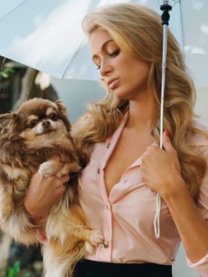 Paris Hilton está devastada ¡Murió su chihuahua más viejita!