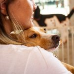 Encuentra al "perro sin raza" que cambiará tu vida y la llenará de amor