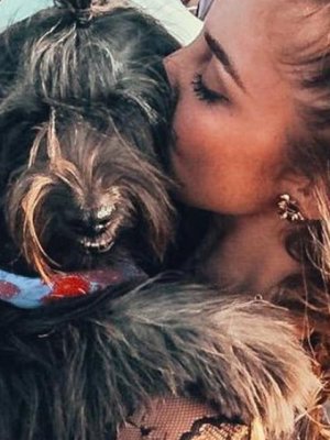 Dani Castro respondió a los haters por comentarios sobre sus animales: 