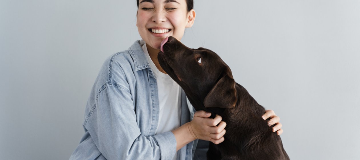 ¡Ayuden al alma! Estudio sostiene que los perros pueden distinguir a las