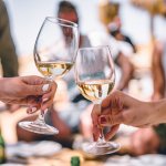 #PANORAMAM360 | Feria Bocas Moradas: la gran vitrina del nuevo vino chileno