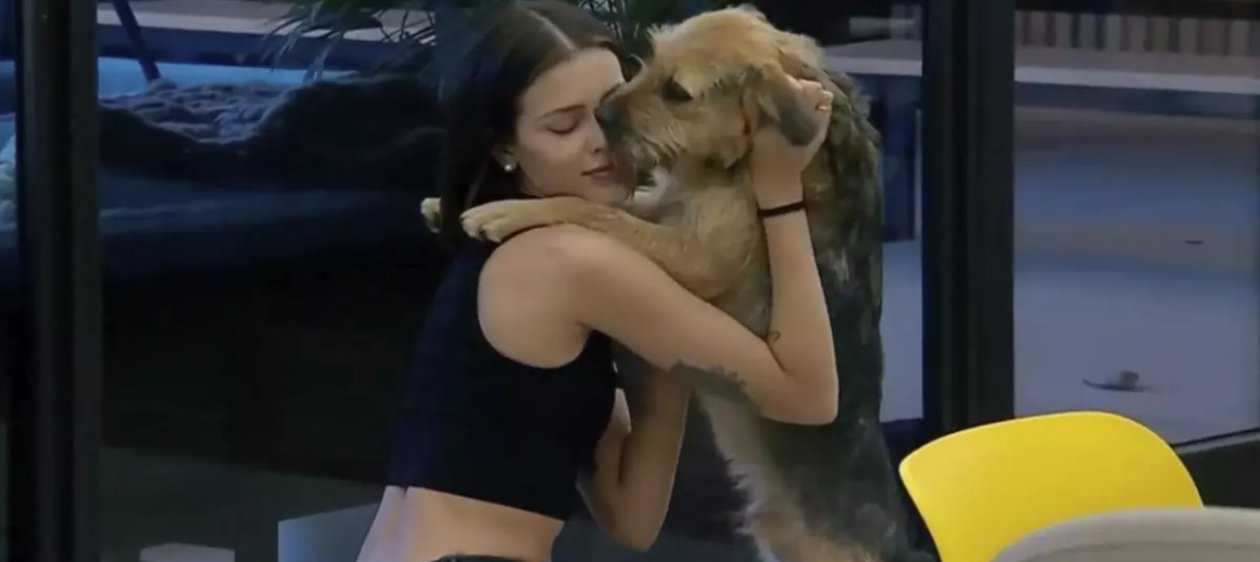 Bigotes de Gran Hermano fue adoptado