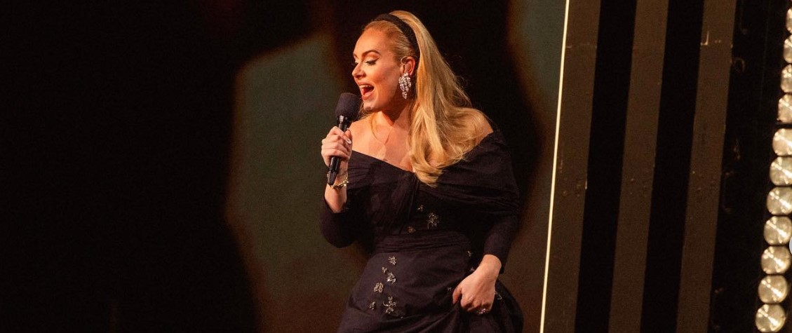 Adele interrumpió su show para defender a uno de sus fans