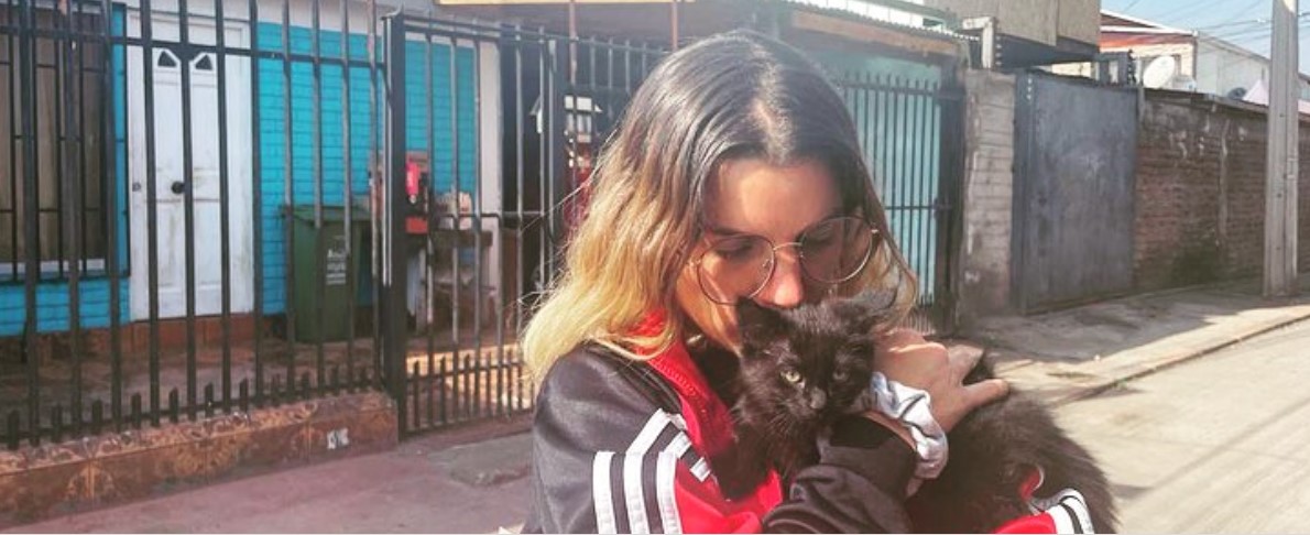 Maite Orsini llevó un gatito al Congreso y lo terminaron sacando