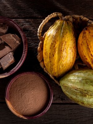 Día del chocolate: El origen y beneficios de este milenario alimento