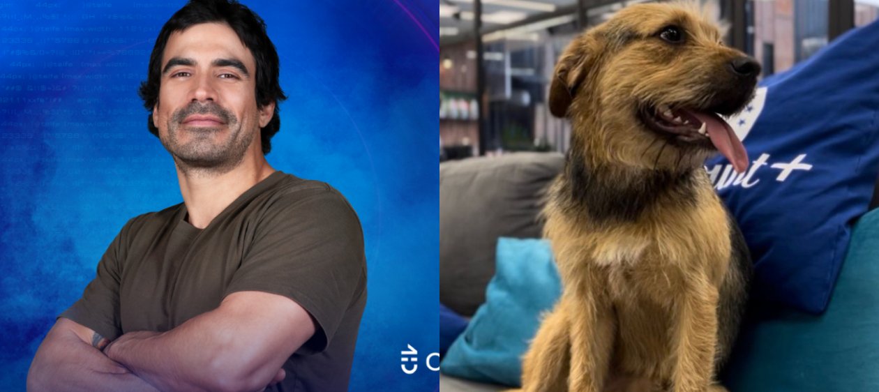 ¡Con el perro no! Acusan a Sebastián Ramírez de golpear a Bigote