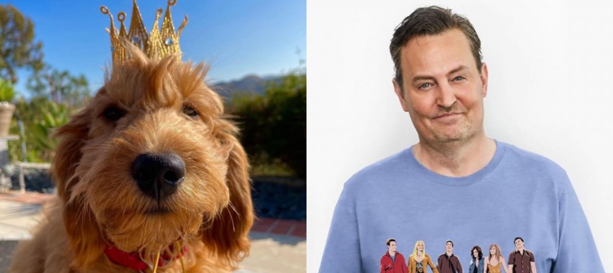 ¡Era fake! Matthew Perry no tenía perrito al momento de morir