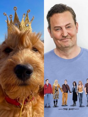¡Era fake! Matthew Perry no tenía perrito al momento de morir
