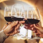 Esta navidad y año nuevo regala y brinda con un mix de vinos orgánicos y biodinámicos