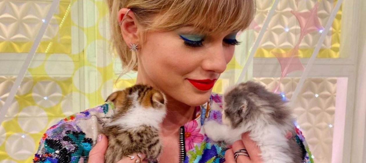 El impactante patrimonio del gato de Taylor Swift