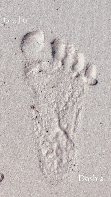 Huella pie derecho de Galo en la arena