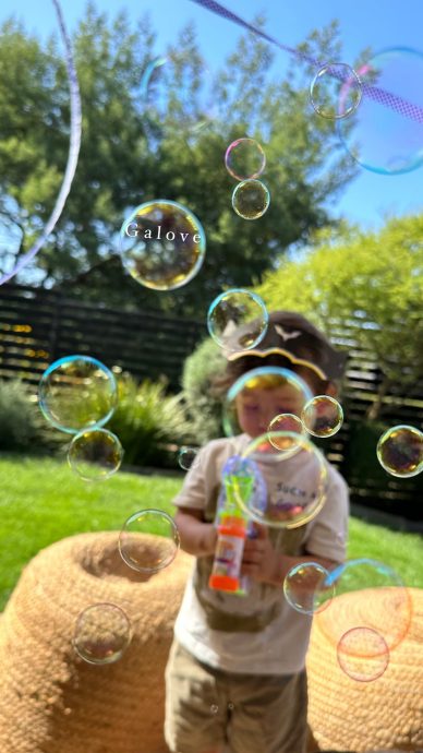 Galo jugando con burbujas