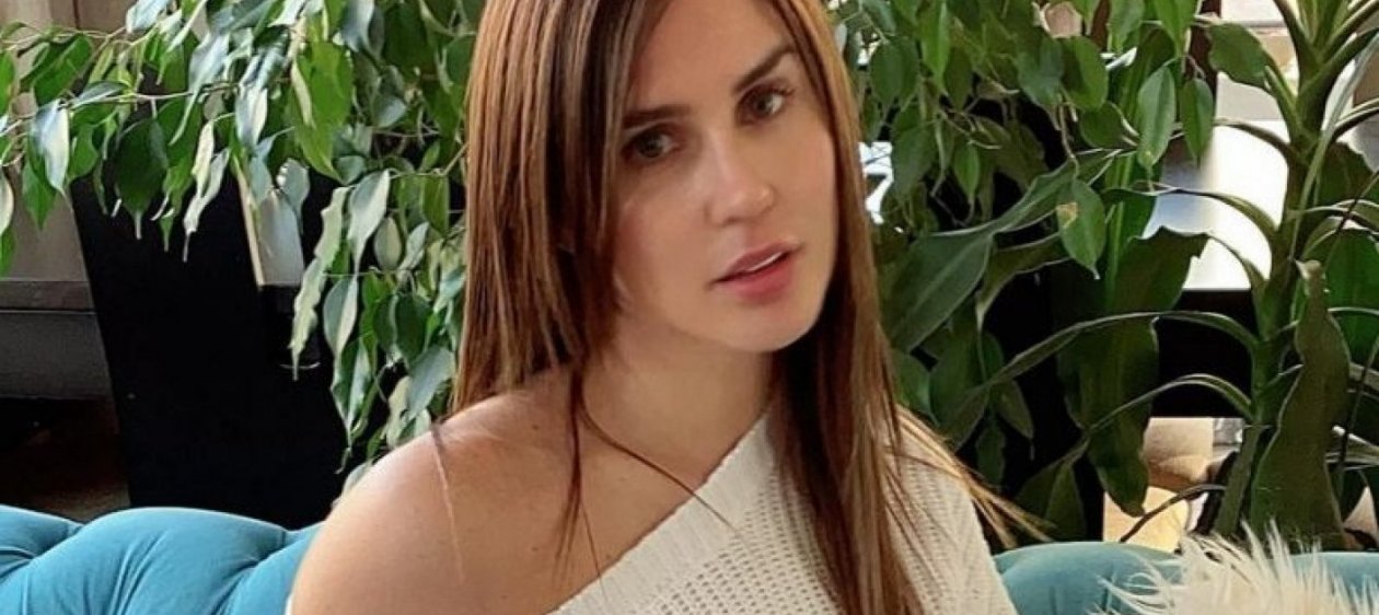 Fran Undurraga se habría ofrecido a renunciar a