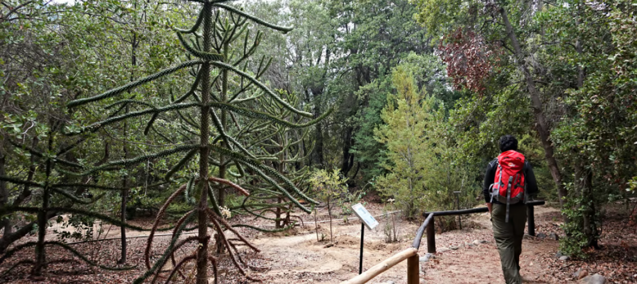 Protegiendo nuestros cerros: 6 consejos para practicar trekking de forma segura