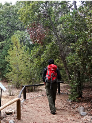 Protegiendo nuestros cerros: 6 consejos para practicar trekking de forma segura
