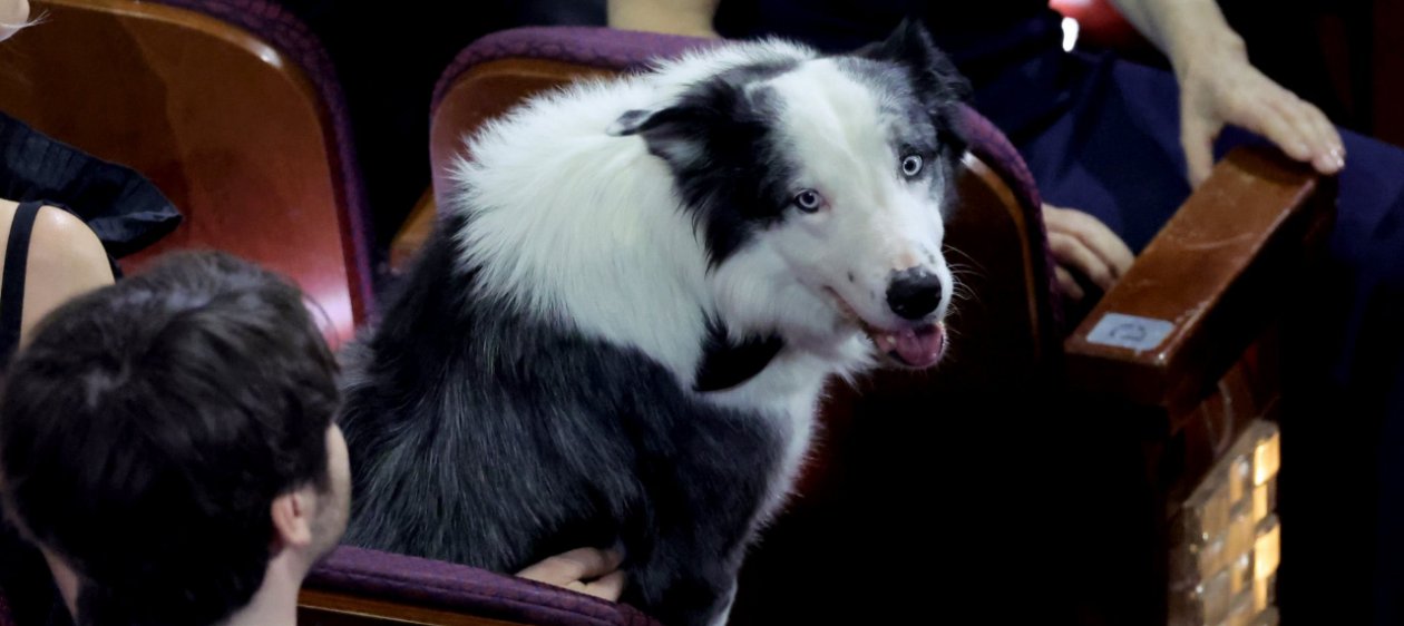 ¡Messi sacó aplausos! Perrito de