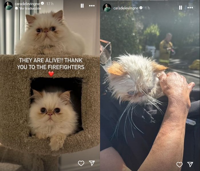 Historias de Cara Delevingne tras el incendio 