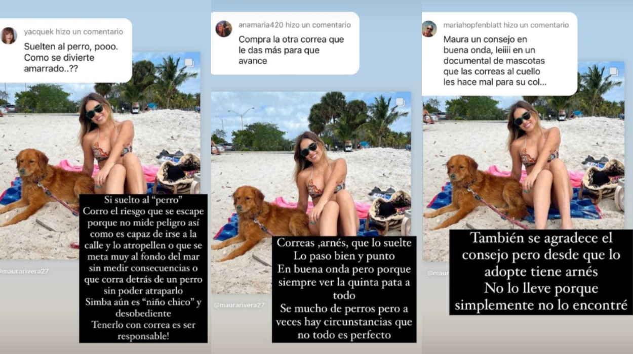 Respuestas de Maura Rivera a cuestionamientos sobre el paseo con su perrito, Simba