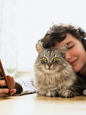 Mes de los gatos: mitos y cuidados que requieren los reyes del hogar