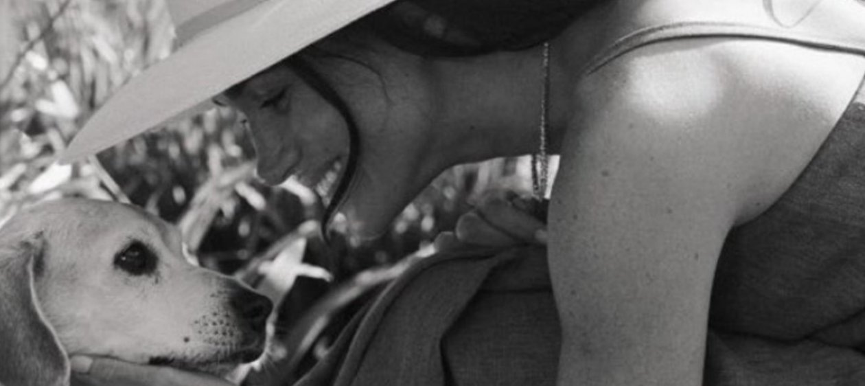 Meghan Markle anuncia la muerte de su perrito Guy: