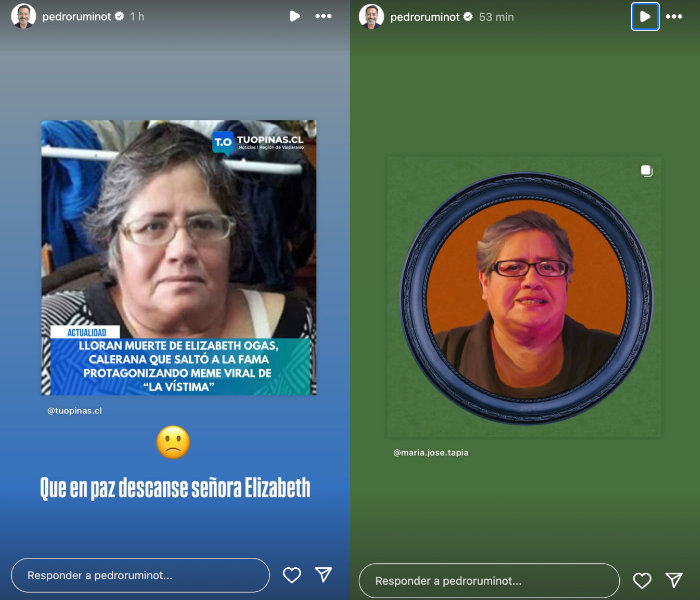 Historia publicada por Pedro Ruminot, donde lamentó el fallecimiento de "la víctima" (reconocida figura viral chilena).