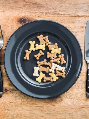 Comida casera vs. alimento balanceado ¿Cuál es mejor para nuestras mascotas?