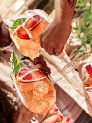 ¿Frutal, cítrico o clásico? La guía para encontrar tu mezcla perfecta este Día del Gin ¿Frutal, cítrico o clásico? La guía para encontrar tu mezcla perfecta este Día del Gin