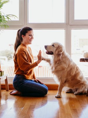 Día Mundial del Perro: conoce su emotivo origen y los cuidados clave para tu mejor amigo