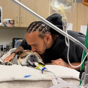 Lewis Hamilton anuncia la muerte de su perro Roscoe: 