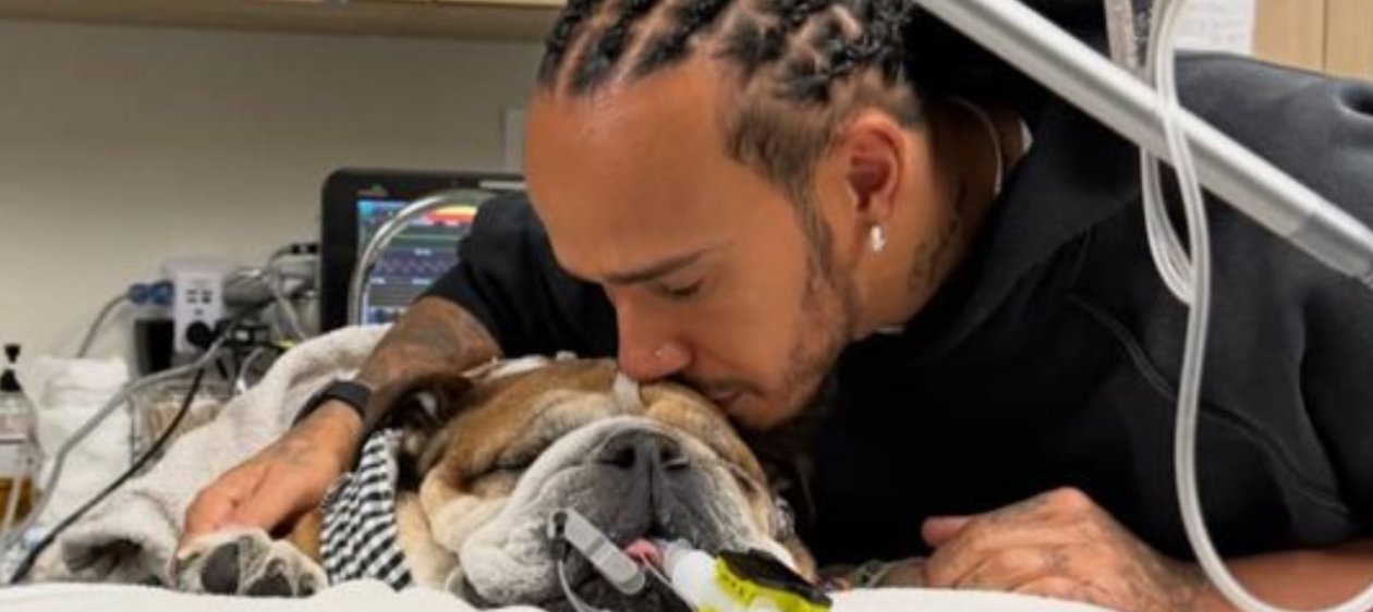 Lewis Hamilton anuncia la muerte de su perro Roscoe: 