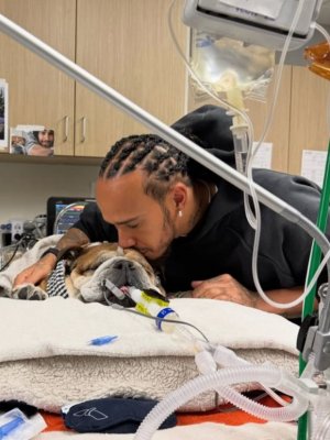 Lewis Hamilton anuncia la muerte de su perro Roscoe: 