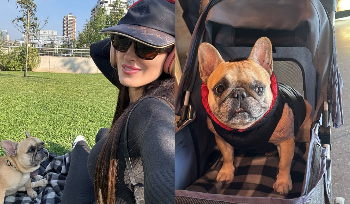 Imagen foto_00000002