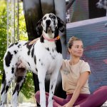 "Vínculo Animal", el nuevo desafío de Kika Silva: "Me hace tanto sentido este podcast"