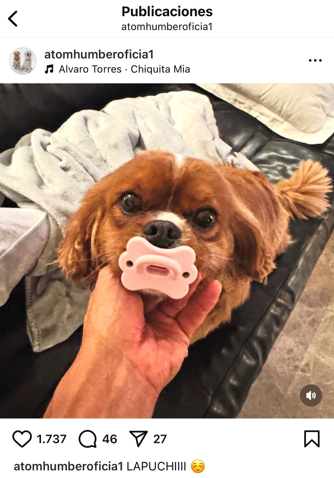 Imagen foto_00000005