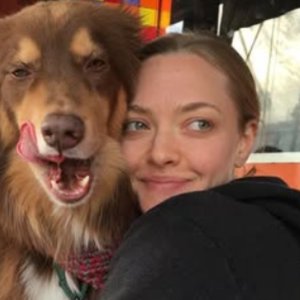 Amanda Seyfried reflexionó sobre la maternidad: 