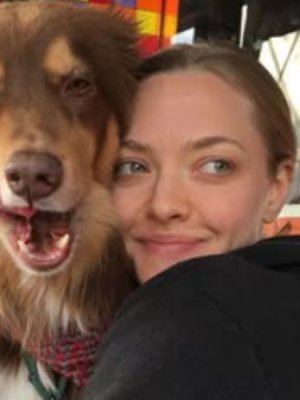 Amanda Seyfried reflexionó sobre la maternidad: 