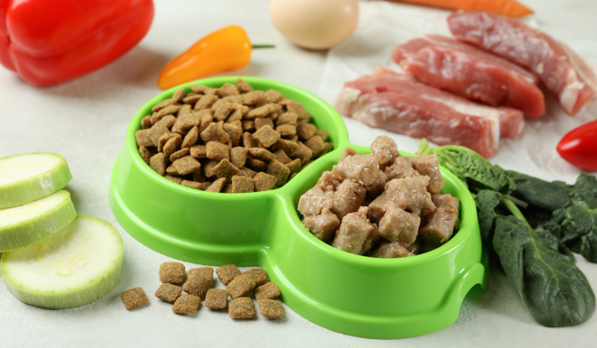 Imagen foto_00000001