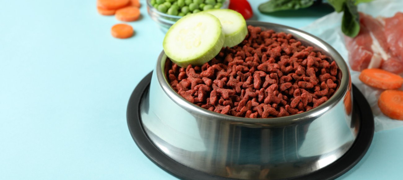 Colecciones pet friendly más buscadas y compradas en Chile