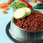 Colecciones pet friendly más buscadas y compradas en Chile