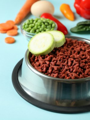 Colecciones pet friendly más buscadas y compradas en Chile