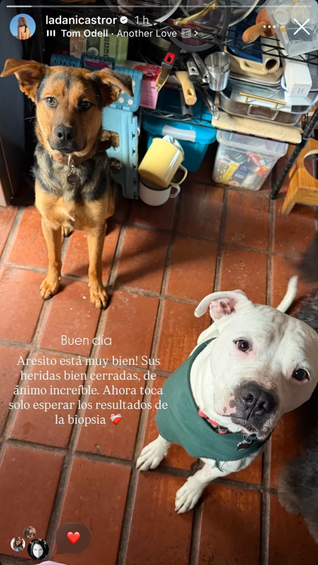 Imagen foto_00000003
