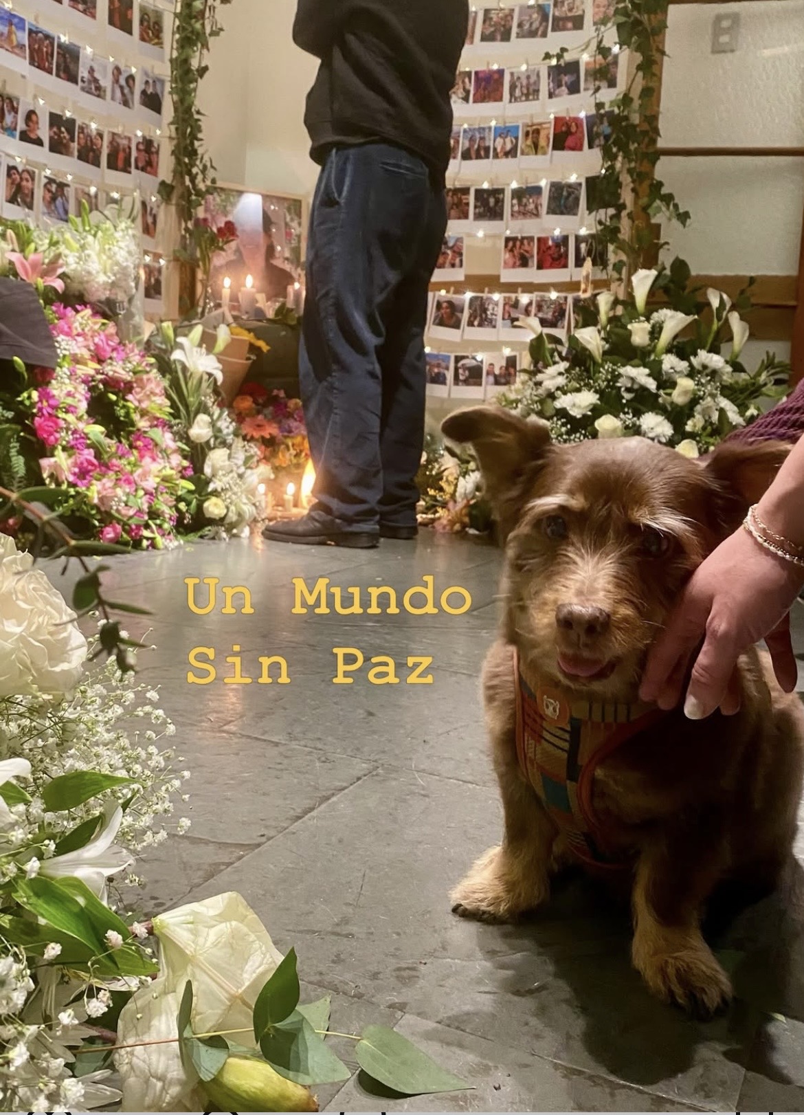 Imagen foto_00000001