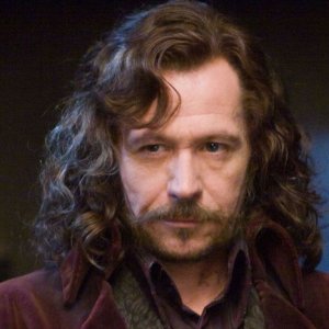 Gary Oldman revela la gran ventaja que tendrá la serie de Harry Potter sobre las películas